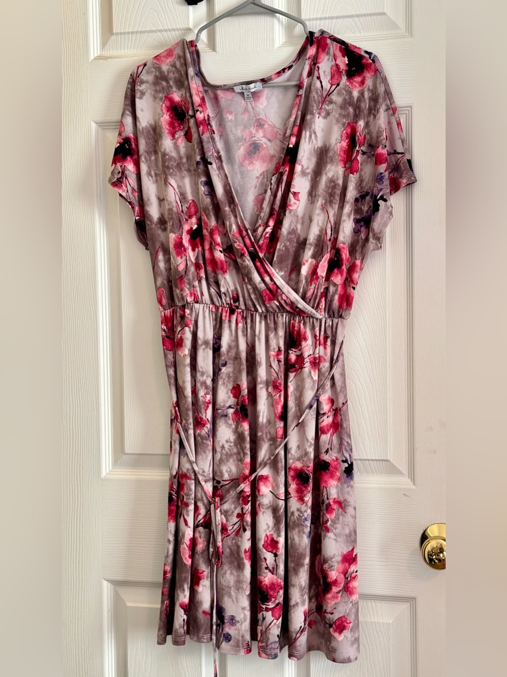 white birch Pink Floral Dress on Gray Background